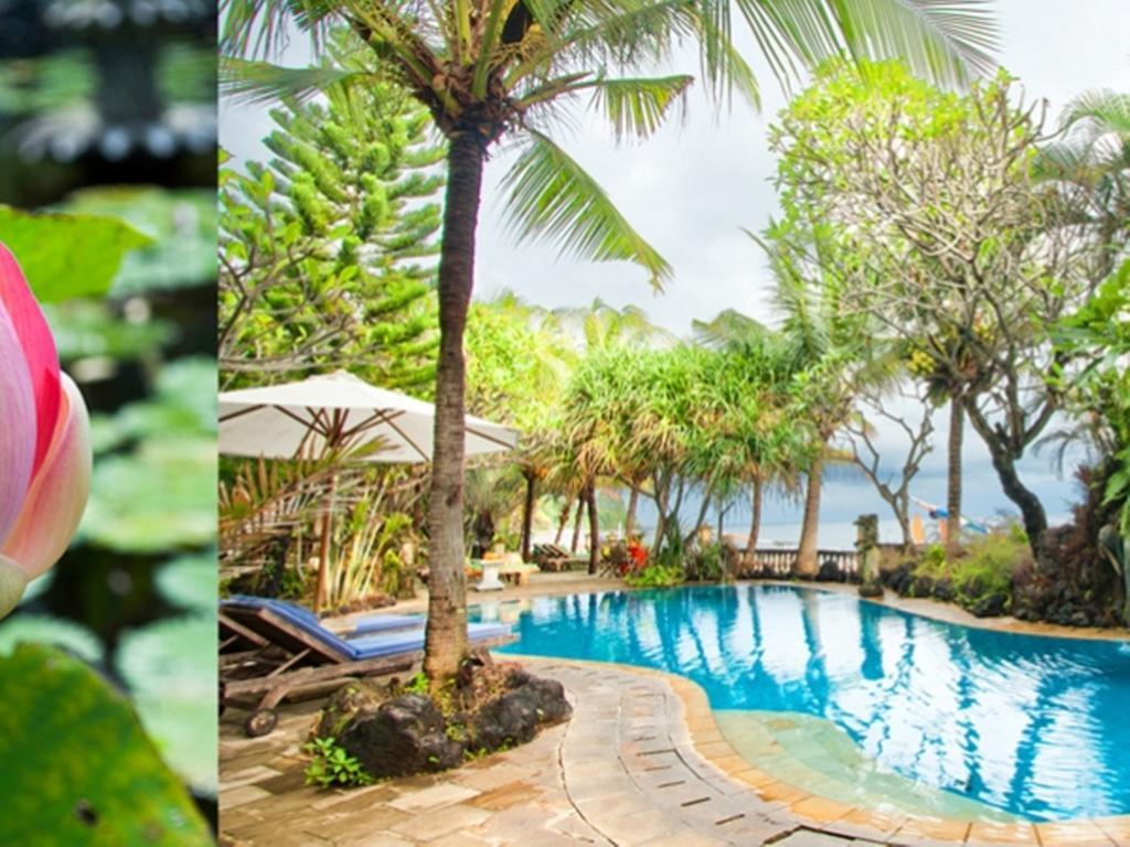 Apa Kabar Villas アメッド エクステリア 写真